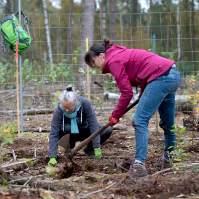 Zwei Frauen bei der Pflanzung