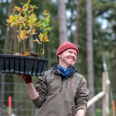 Lachender Mann mit einer Kiste Jungpflanzen