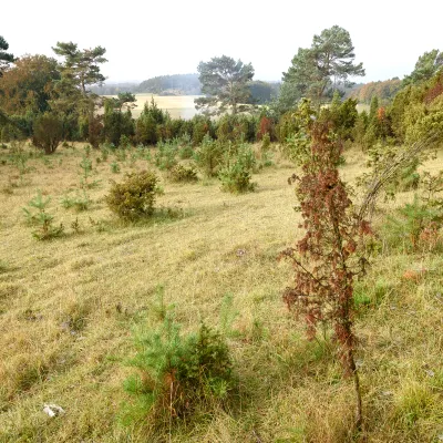 Offene Landschaft in Euskirchen