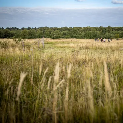 BWP_über uns_offene Landschaft_hessische Rhön.jpg Grasland