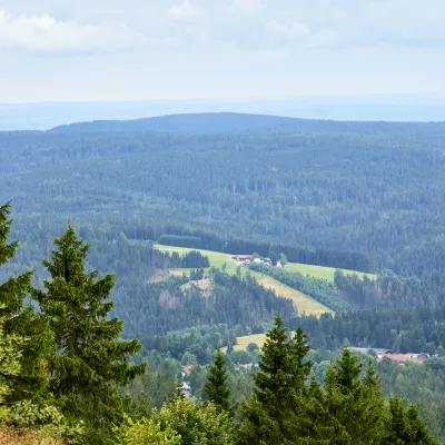 Weiter Blick auf eine waldige Landschaft