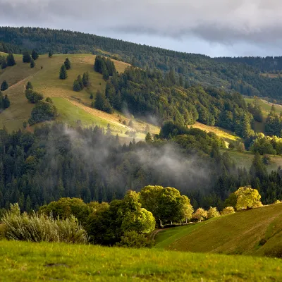 Stimmungsvoller und weiter Blick über eine waldige Landschaft in Freiburg