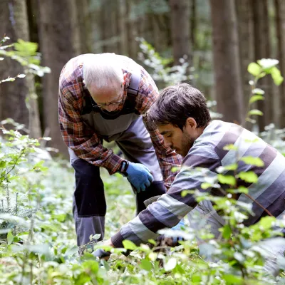 Zwei Teilnehmer bei der Pflanzung