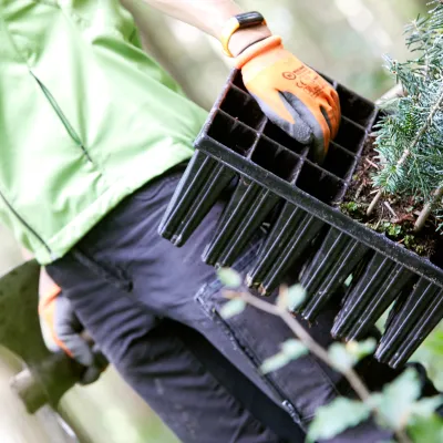 Teilnehmer der eine Wiedehopfhaue und Jungpflanzen trägt