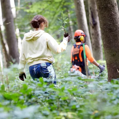 Zwei Teilnehmende mit Jungpflanzen