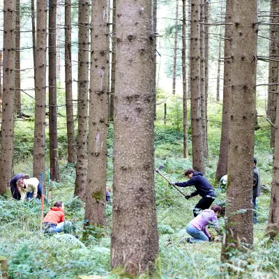 Blick auf die Pflanzfläche mit Teilnehmenden