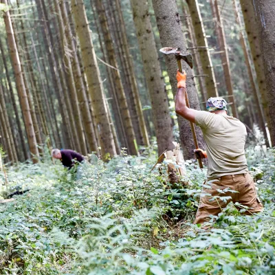 Teilnehmende beim Pflanzen