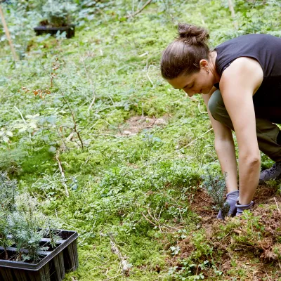 Teilnehmerin bei der Pflanzung