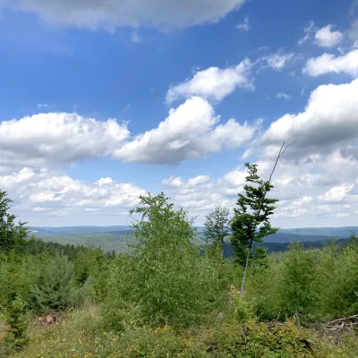 Weiter Blick auf die Waldlandschaft in Heigenbrücken