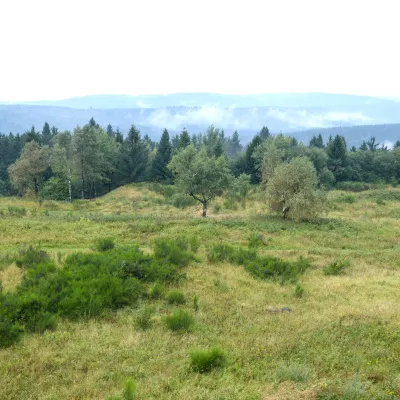 Blick auf die Landschaft in Horn Bad Meinberg