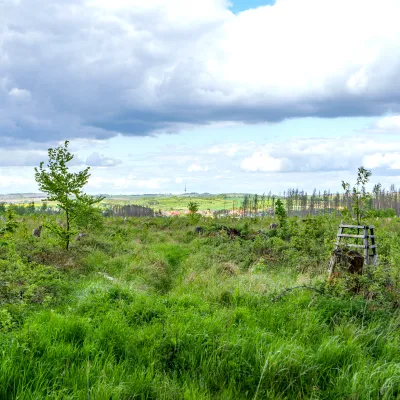 Blick über die Landschaft in Lichtenau