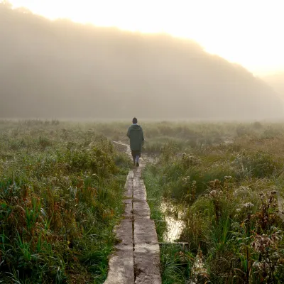 Person geht auf Planken durch eine stimmungsvolle Moorlandschaft