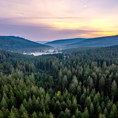 Weiter Blick über den NP Schwarzwald bei Sonnenaufgang