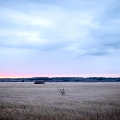 Weiter Blick auf die Nossentiner Schwinzer Heide