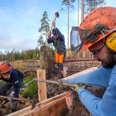 Spuntwand bauen im Moor