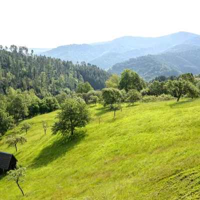Weiter Blick über die Landschaft mit Wiesen und Wald in Bermersbach