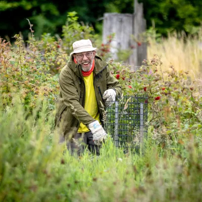 BWP_Bildergalerie_Hoher Westerwald_1.jpg