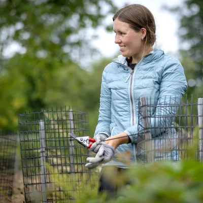 BWP_Bildergalerie_Hoher Westerwald_10.jpg