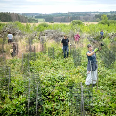 BWP_Bildergalerie_Hoher Westerwald_11.jpg