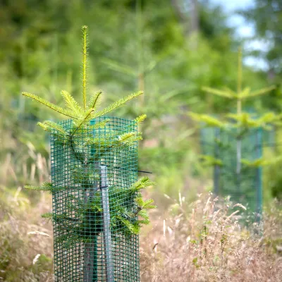 BWP_Bildergalerie_Hoher Westerwald_12.jpg