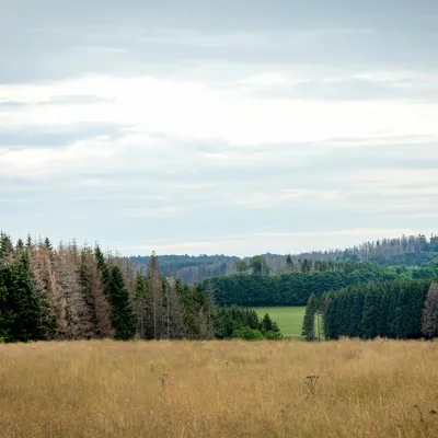 BWP_Bildergalerie_Hoher Westerwald_2.jpg