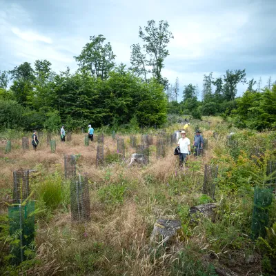 BWP_Bildergalerie_Hoher Westerwald_4.jpg