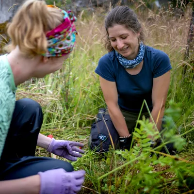 BWP_Bildergalerie_Hoher Westerwald_6.jpg