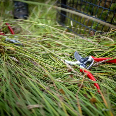 BWP_Bildergalerie_Hoher Westerwald_7.jpg