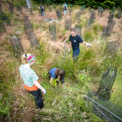 BWP_Bildergalerie_Hoher Westerwald_9.jpg