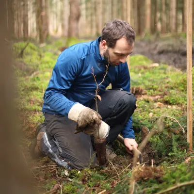 Teilnehmer bei der Pflanzung