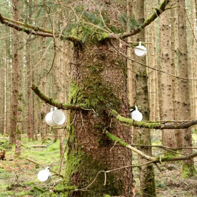 Tassen die in den Zweigen eines Baumes zum Trocknen hängen