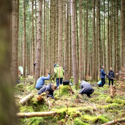 Teilnehmende bei der Pflanzung