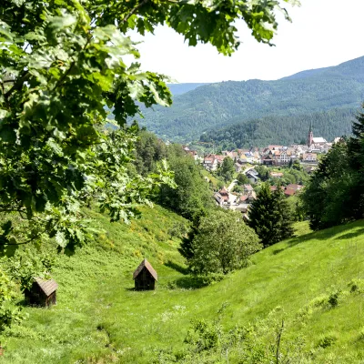 Weiter Blick über eine hügelige Landschaft in Bermersbach