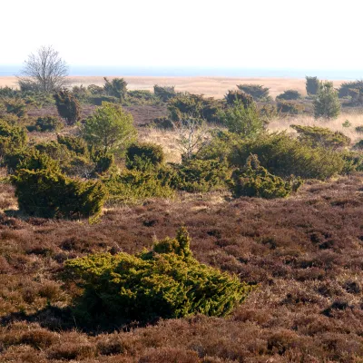 Weiter Blick auf eine offene Landschaft