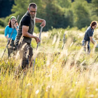 Gruppe bei der Mahd