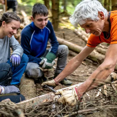 Schälen von gefällten Fichten zur Bekämpfung des Borkenkäfers