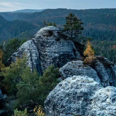 Wald und Felsen