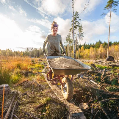 Frau schiebt beladene Schubkarre durchs Moor
