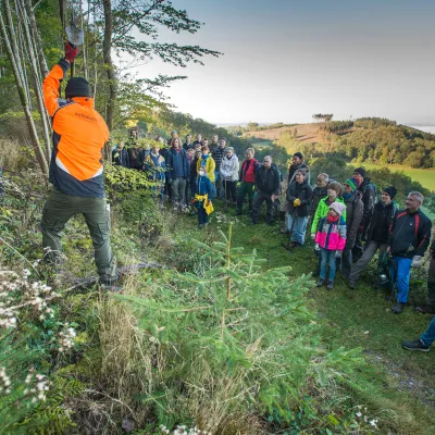 Anleitung zum Pflanzen mit Wiedehopfhaue