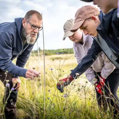 Schüler und Projektleiter schauen sich Wiesenblumen an