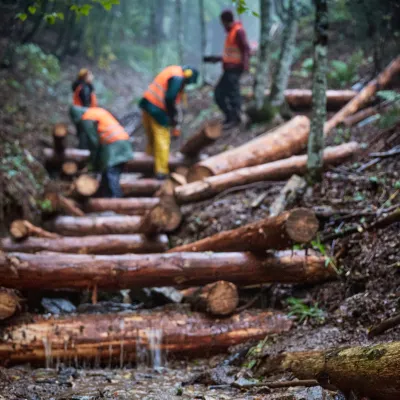 Holzkastenverbauung bei Regen
