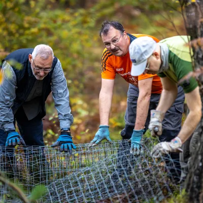 Männer rollen alten Drahtzaun zusammen