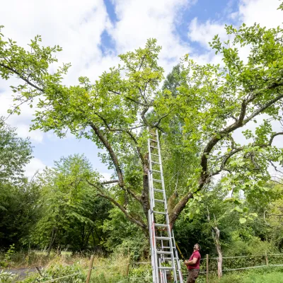 BWP_Regulaere_Projektwochen_13