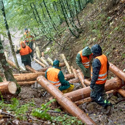 Teilnehmende bei einer Holzkastenverbauung