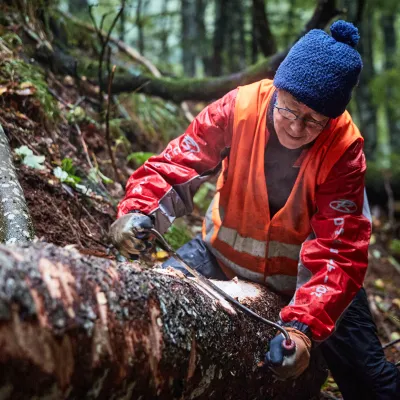 Teilnehmerin beim Schälen eines gefällten Baumes