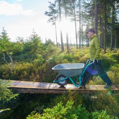 Teilnehmer mit Schubkarre auf einem Bohlenweg im Moor