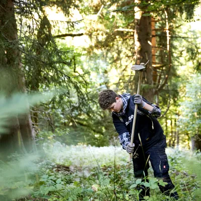 Teilnehmer bei der Pflanzung