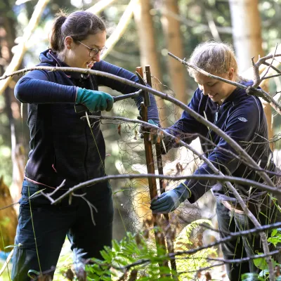 Zwei Teilnehmerinnen schlagen einen Bambusstab in die Walderde