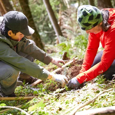 Zwei Teilnehmer pflanzen gemeinsam