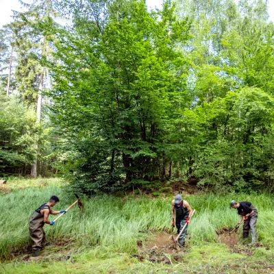 Weiter Blick auf drei arbeitende Teilnehmer im Gelände